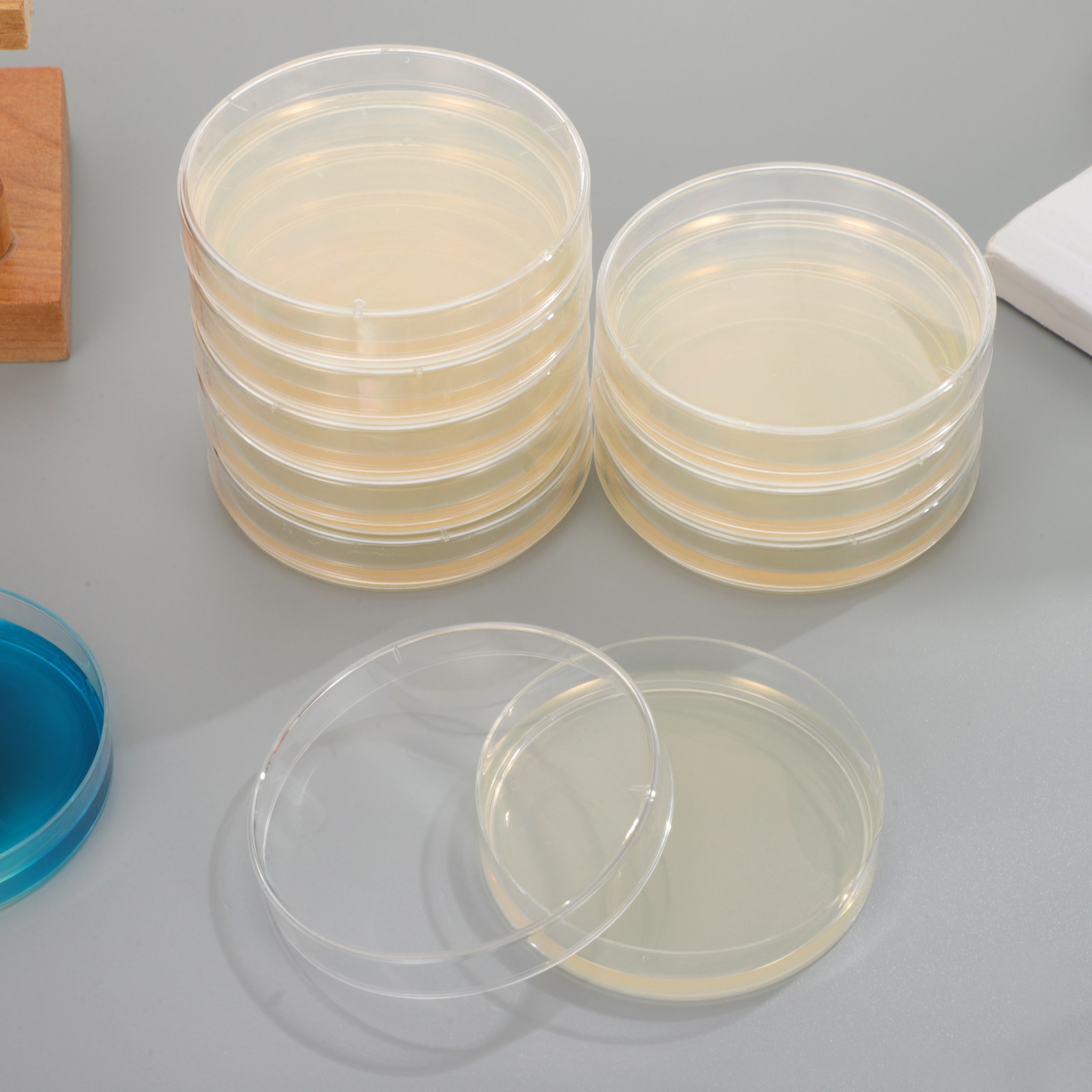 20Pcs Pre-Poured Nutrient Agar - Agar Tissue Culture 리뷰 및 가격