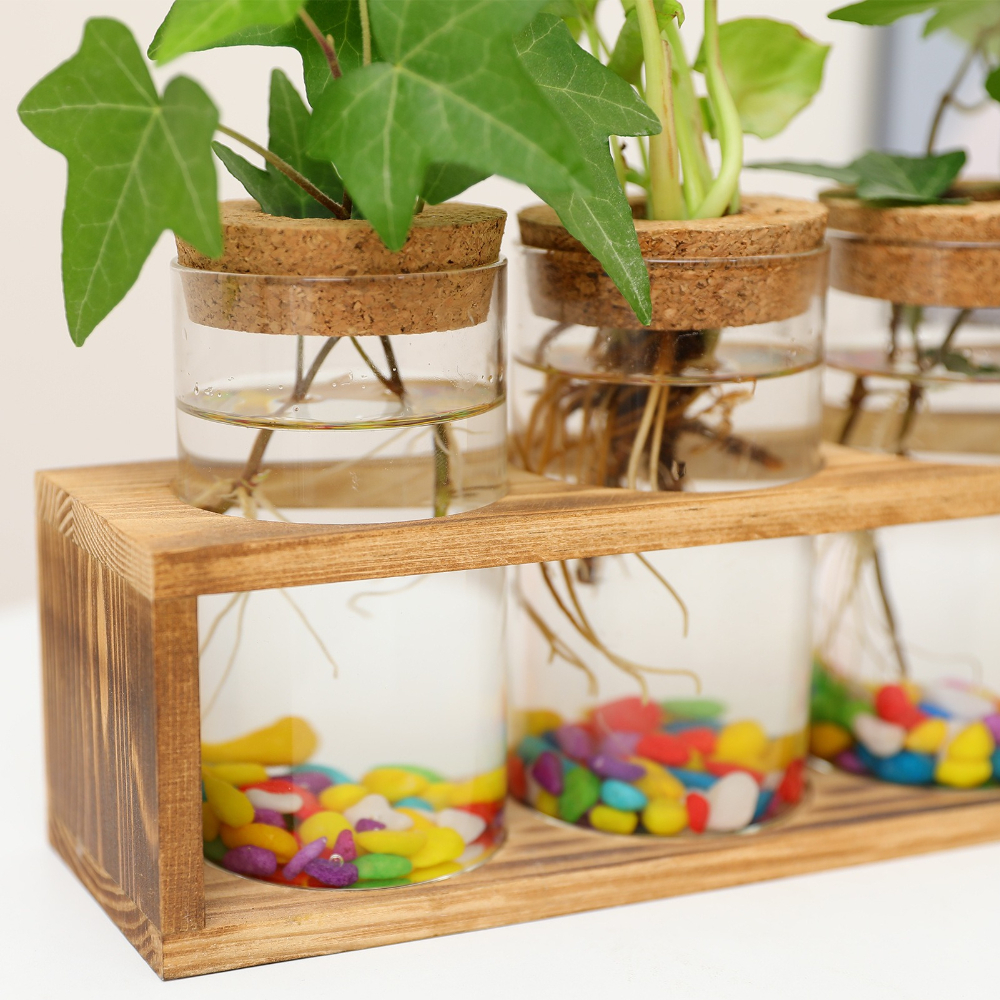 Minimalist Glass Vase with Woo - Propagation Station Vase 리뷰 및 가격