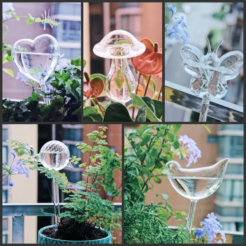 Creative Glass Plant Flowers W - Self Watering Insert 리뷰 및 가격