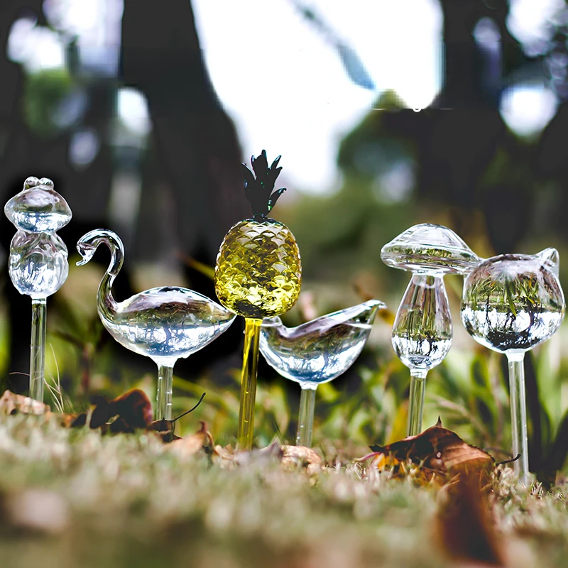 Creative Glass Plant Flowers W - Self Watering Insert 리뷰 및 가격