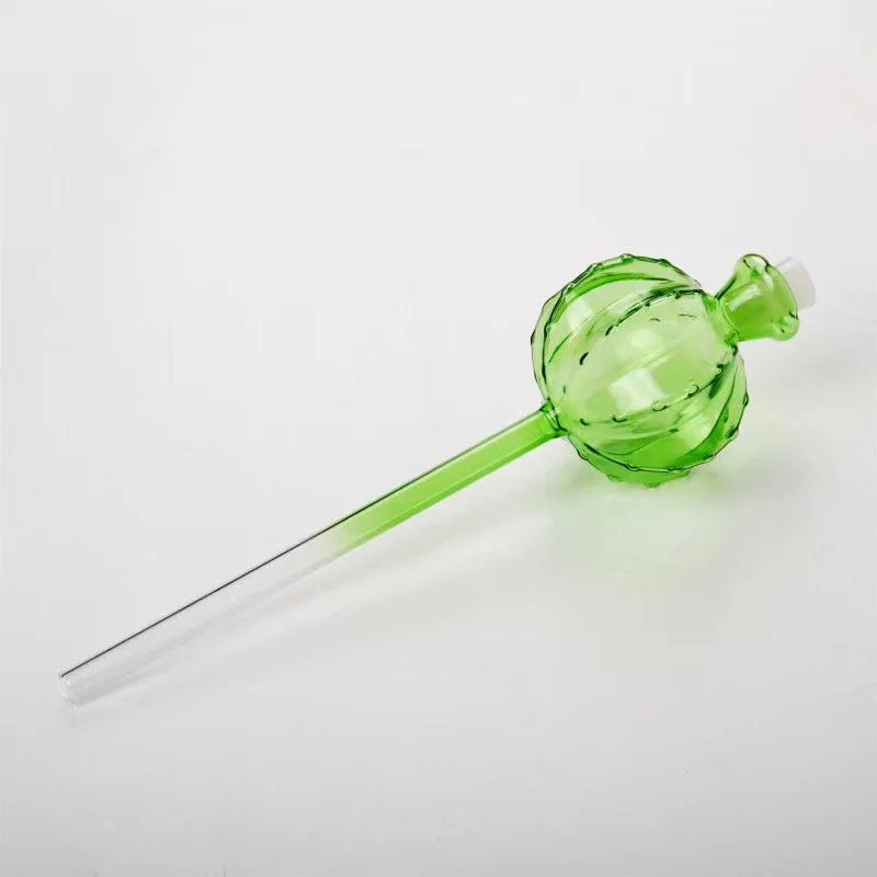 Creative Glass Plant Flowers W - Self Watering Insert 리뷰 및 가격