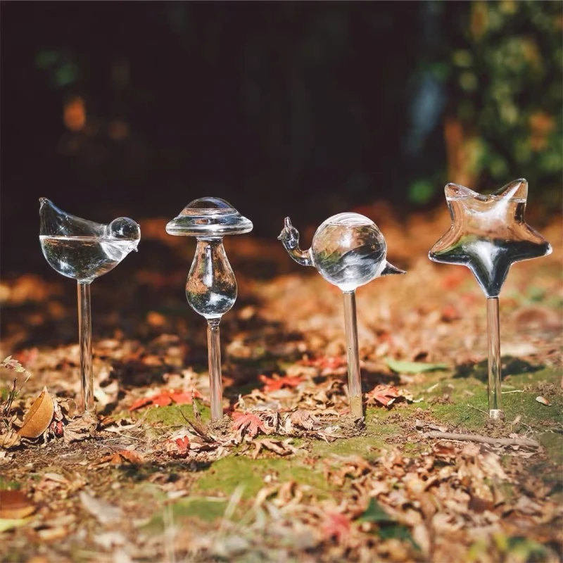 Creative Glass Plant Flowers W - Self Watering Insert 리뷰 및 가격