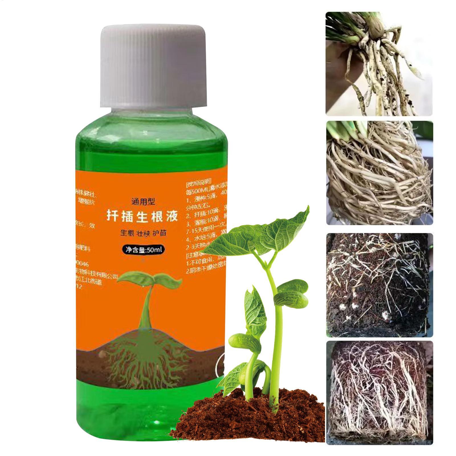 High-Efficiency Root Stimulato - Root Stimulator Liquid 리뷰 및 가격