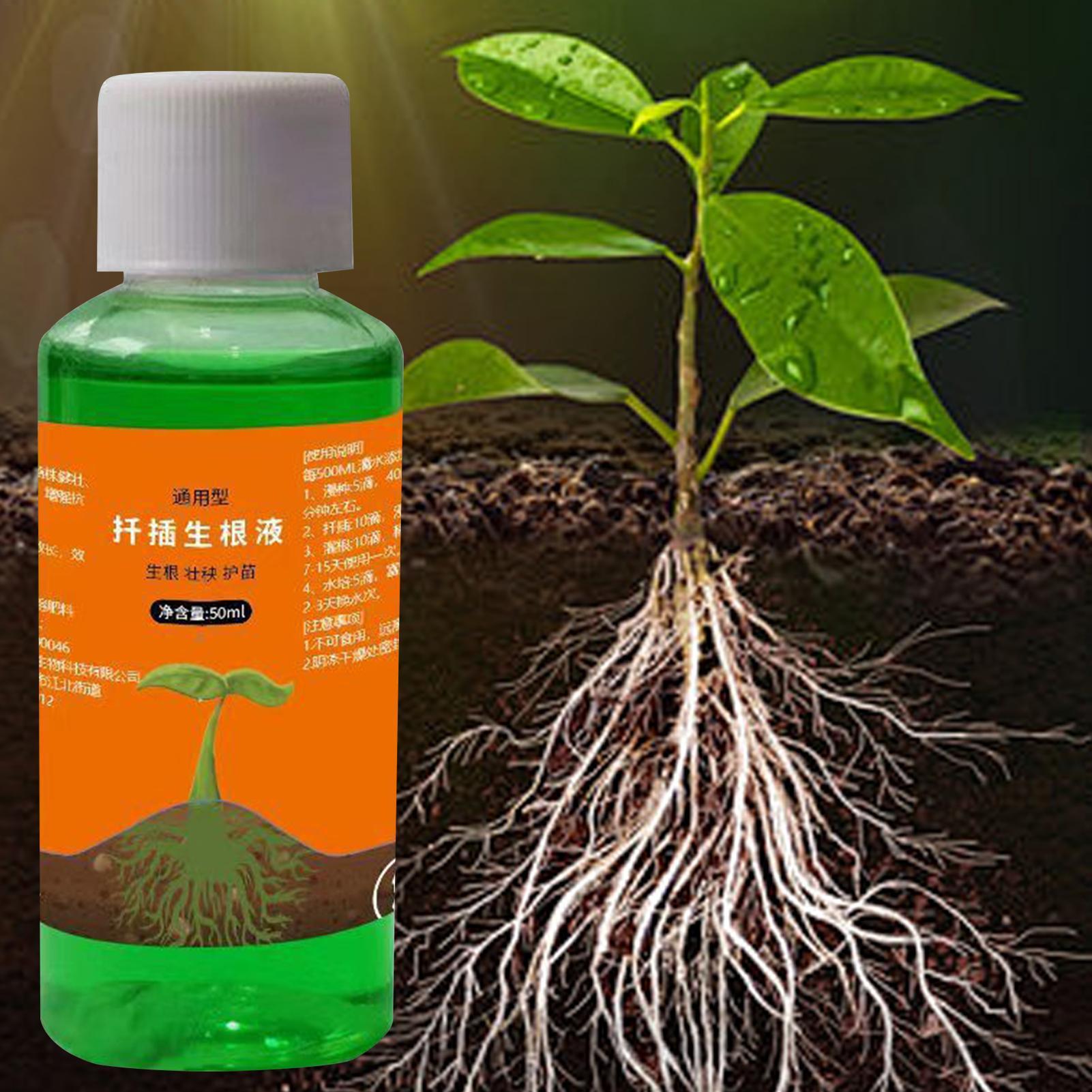 High-Efficiency Root Stimulato - Root Stimulator Liquid 리뷰 및 가격