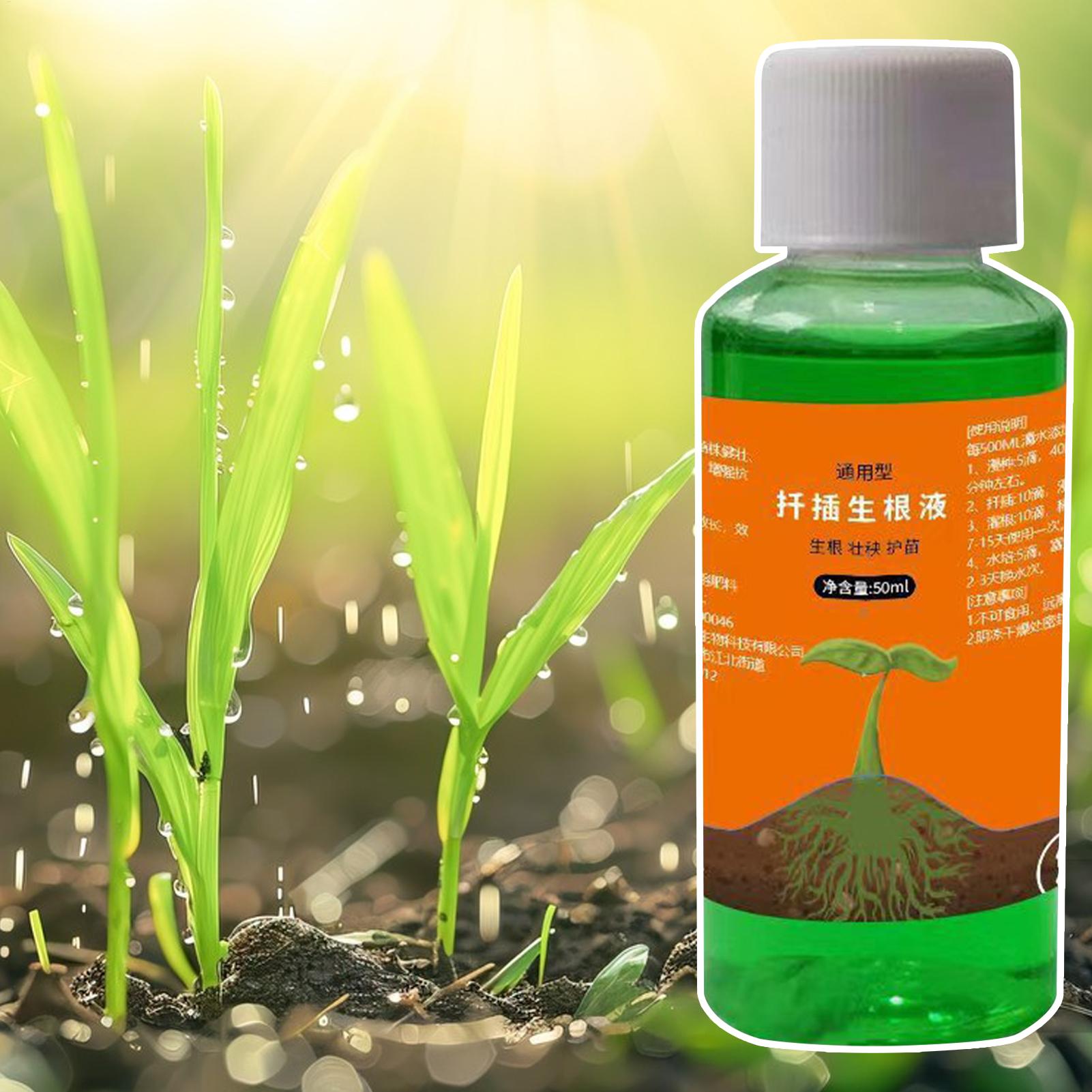 High-Efficiency Root Stimulato - Root Stimulator Liquid 리뷰 및 가격