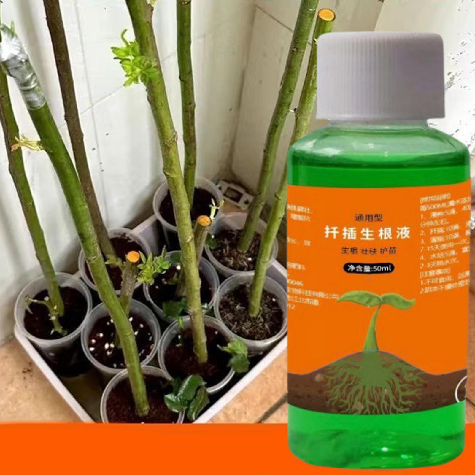 High-Efficiency Root Stimulato - Root Stimulator Liquid 리뷰 및 가격