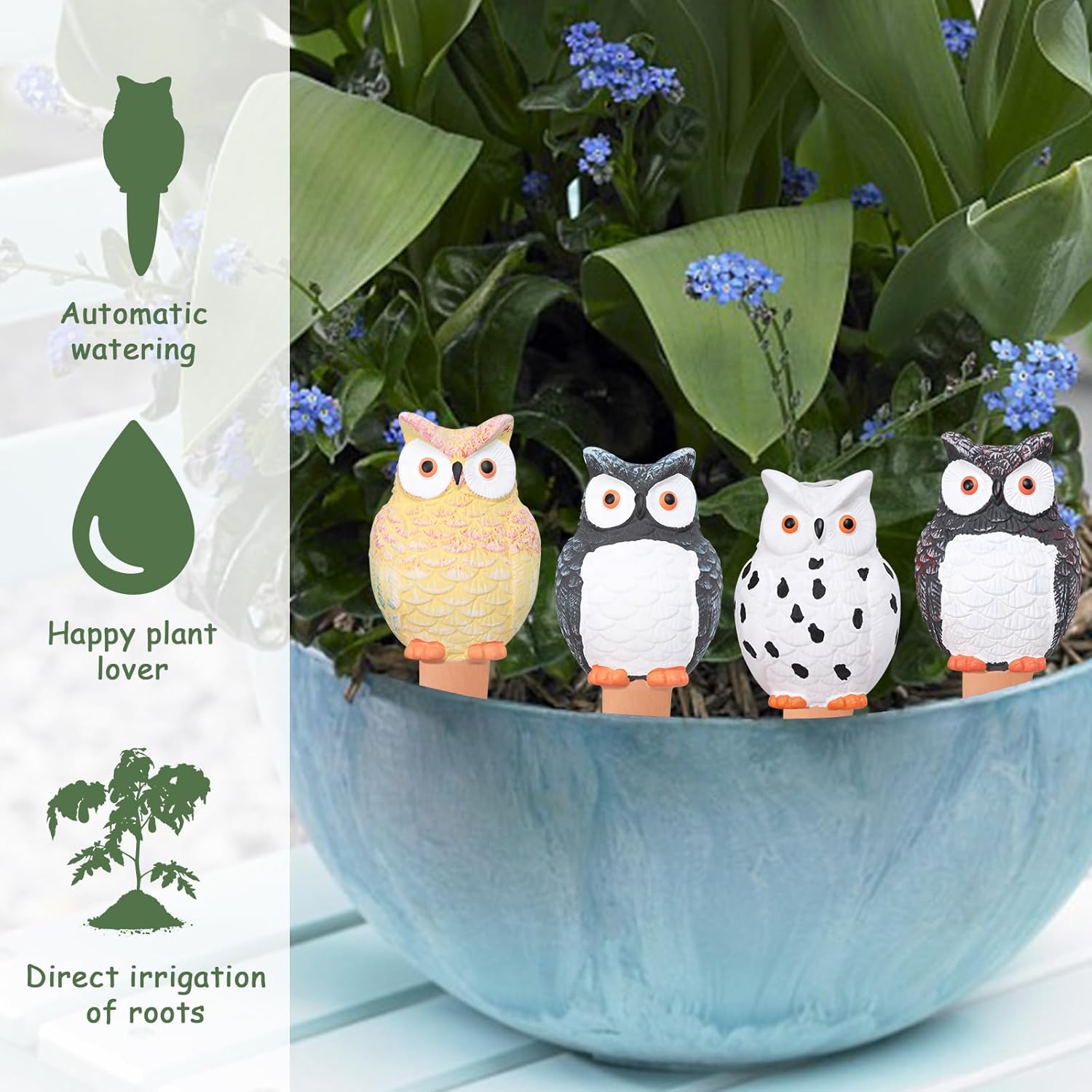 Self Plant Watering Globes Ter - Self Watering Insert 리뷰 및 가격