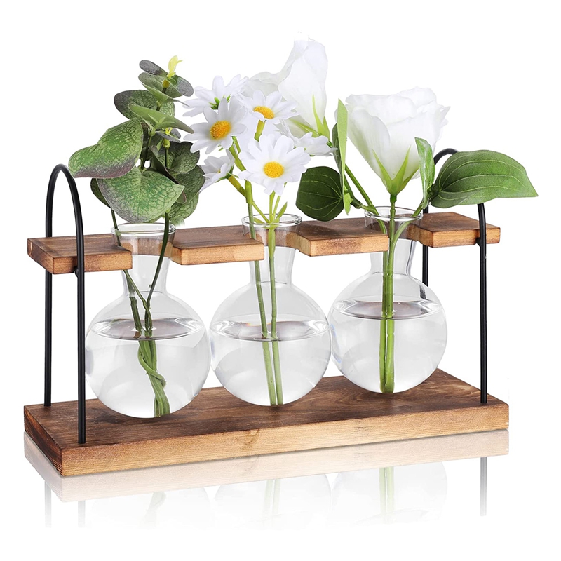 Plant Propagation Station with - Propagation Station Vase 리뷰 및 가격