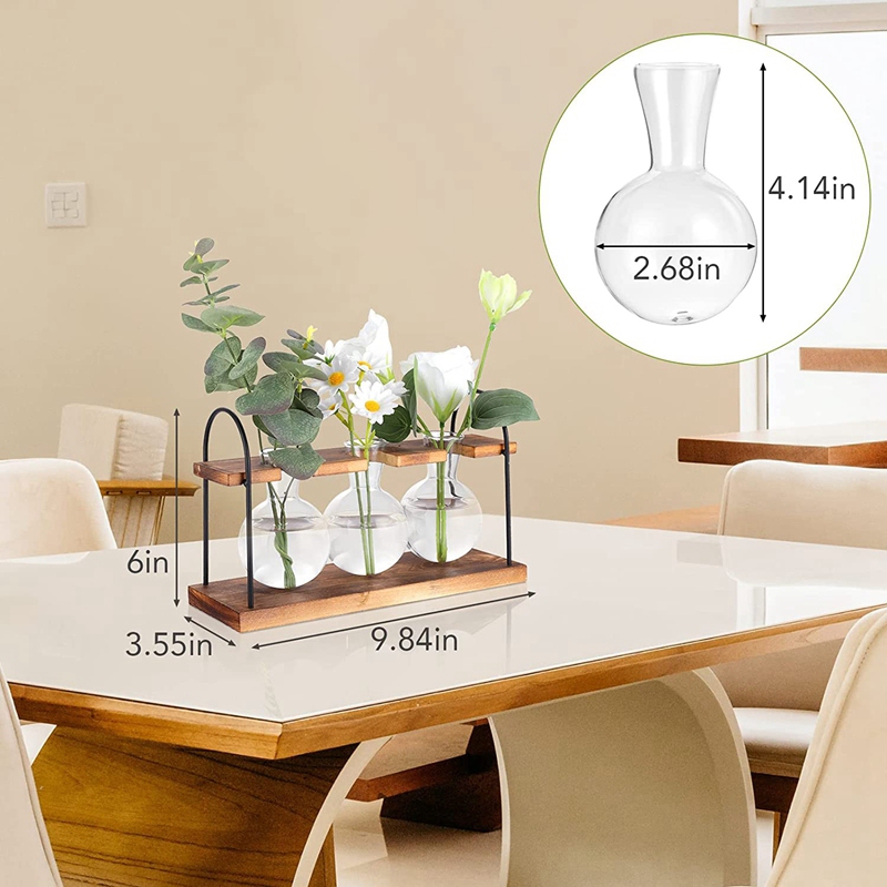 Plant Propagation Station with - Propagation Station Vase 리뷰 및 가격