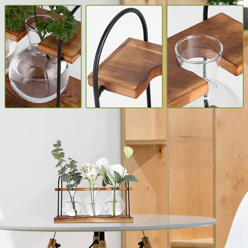 Plant Propagation Station with - Propagation Station Vase 리뷰 및 가격