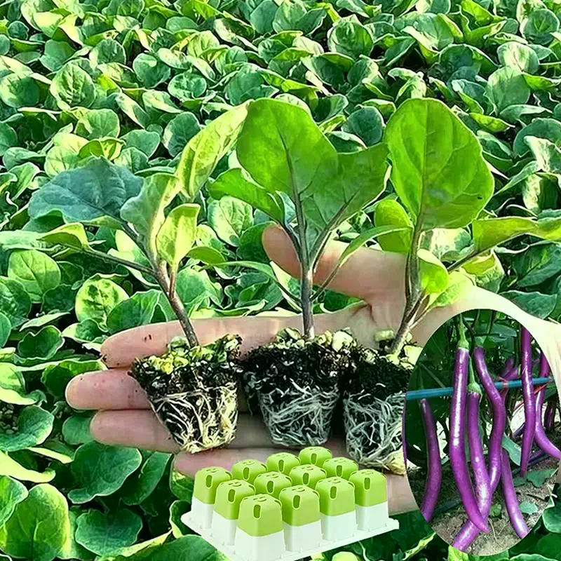 Seed Starter Tray With Humidit - Humidity Dome Kit 리뷰 및 가격