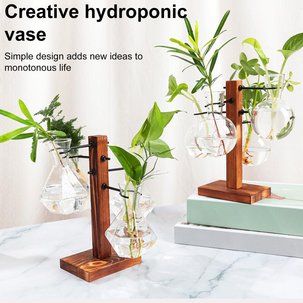 1 Set 10*25cm Plants Propagati - Propagation Station Vase 리뷰 및 가격