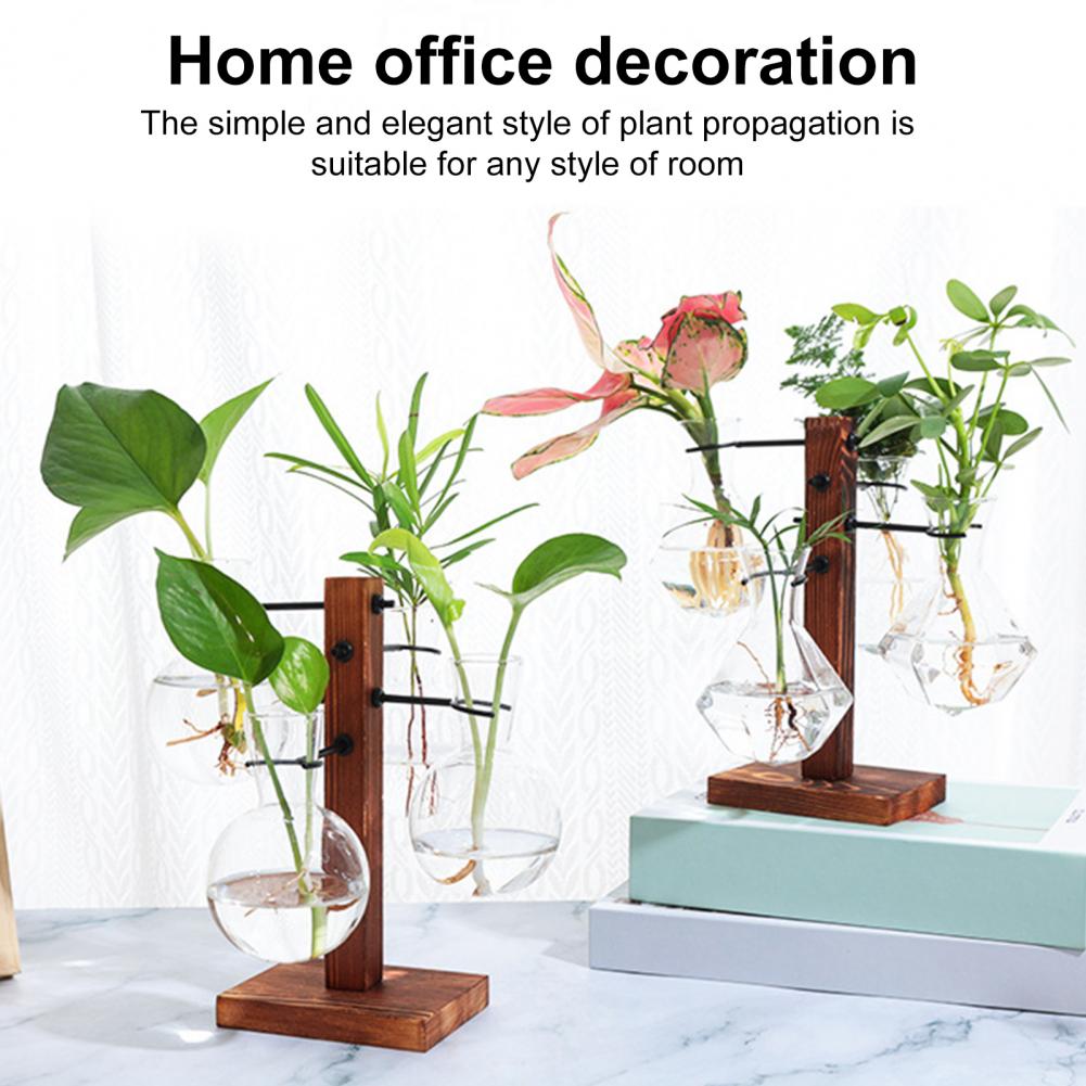 1 Set 10*25cm Plants Propagati - Propagation Station Vase 리뷰 및 가격