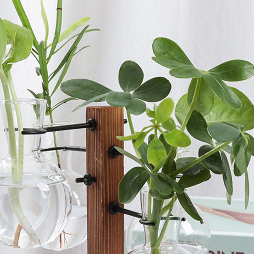 1 Set 10*25cm Plants Propagati - Propagation Station Vase 리뷰 및 가격