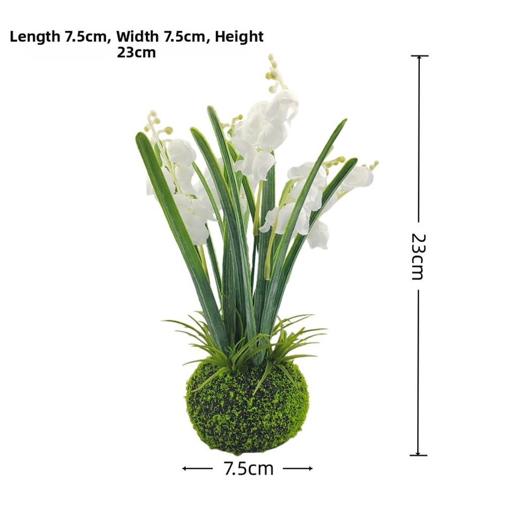 Compact Handcrafted Moss Ball  - Sphagnum Moss Dry 리뷰 및 가격
