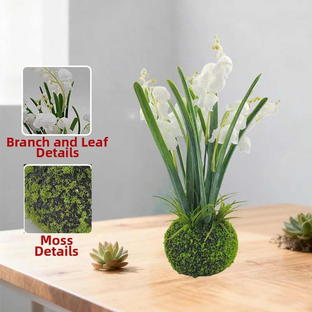 Compact Handcrafted Moss Ball  - Sphagnum Moss Dry 리뷰 및 가격