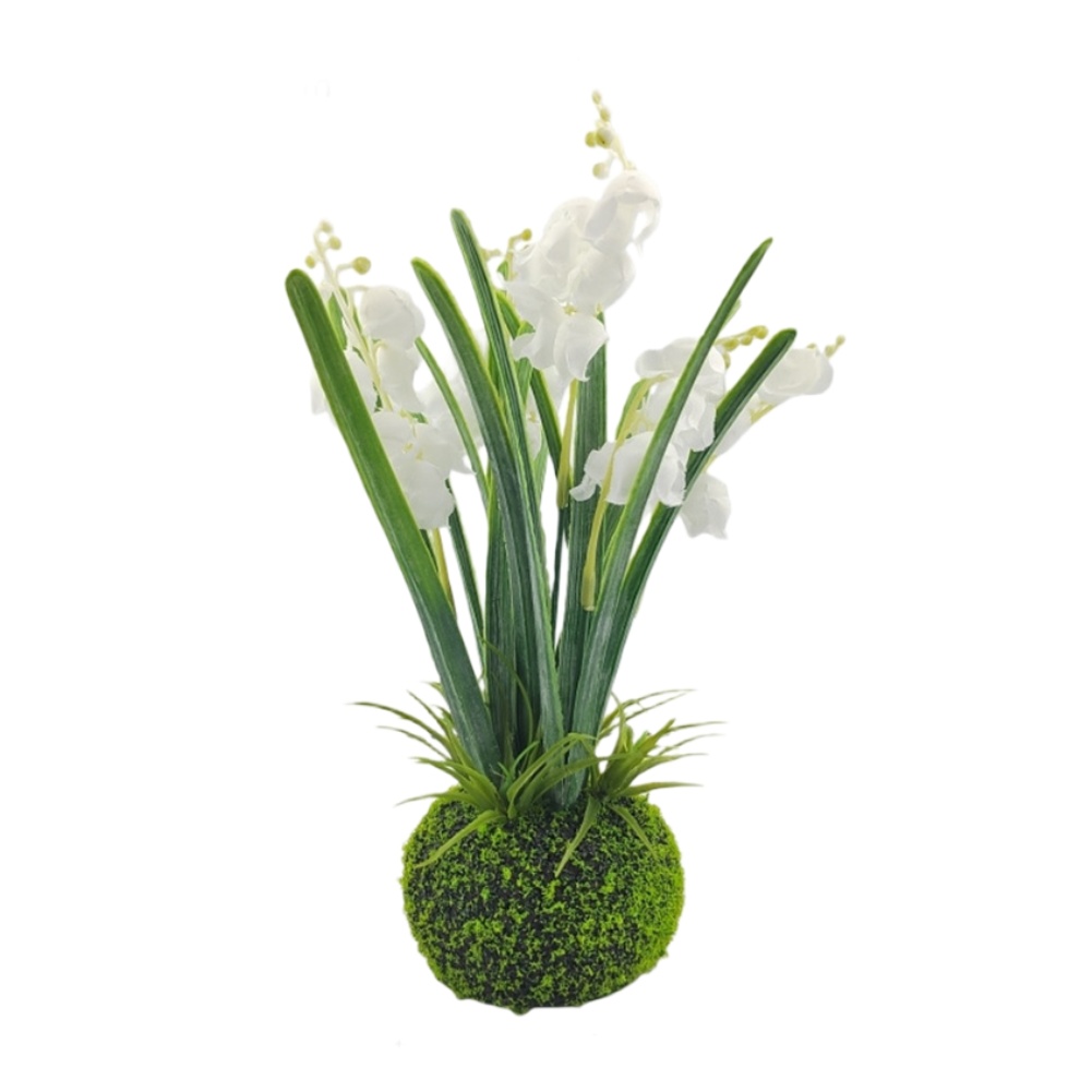 Compact Handcrafted Moss Ball  - Sphagnum Moss Dry 리뷰 및 가격