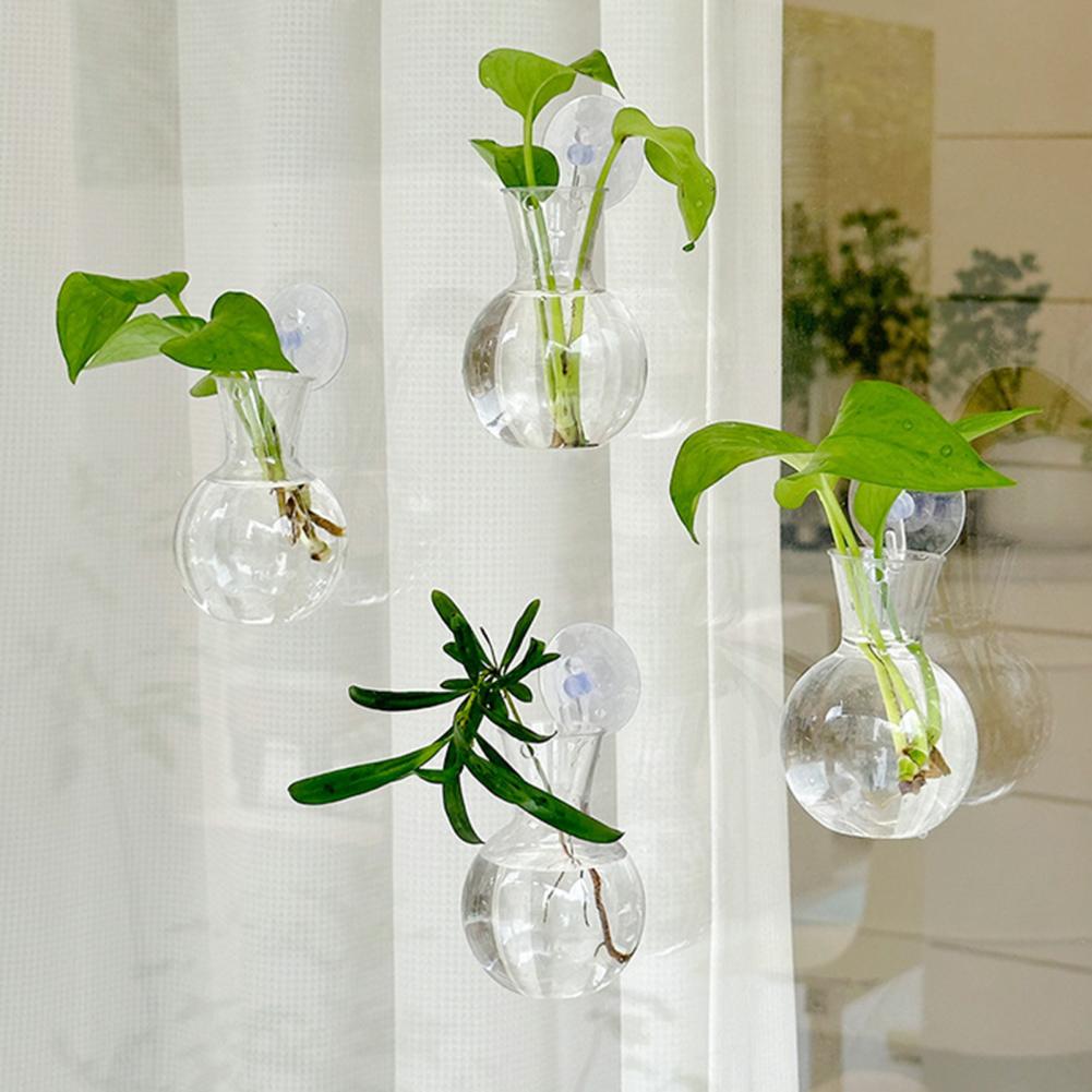 1/2/3/4/6/8Pcs Plant Propagati - Propagation Station Vase 리뷰 및 가격