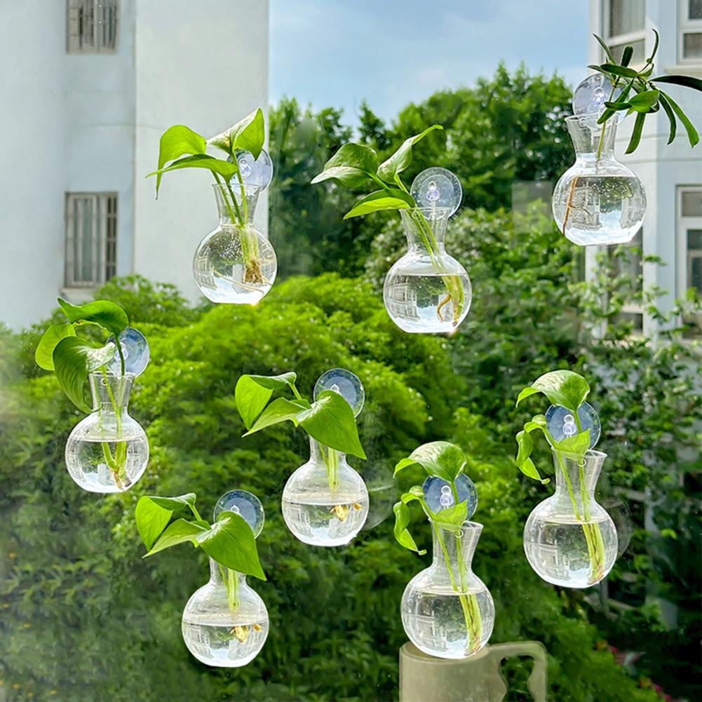 1/2/3/4/6/8Pcs Plant Propagati - Propagation Station Vase 리뷰 및 가격