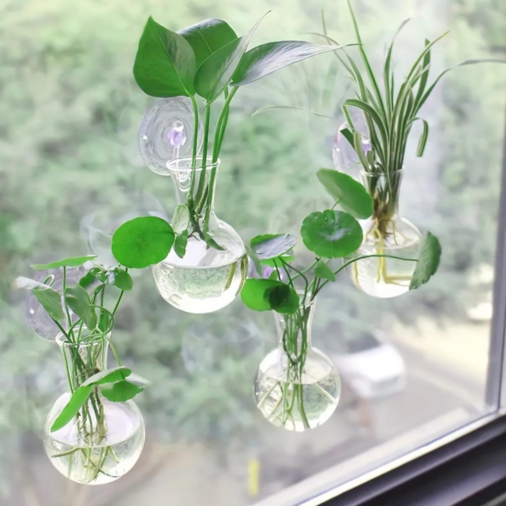 1/2/3/4/6/8Pcs Plant Propagati - Propagation Station Vase 리뷰 및 가격