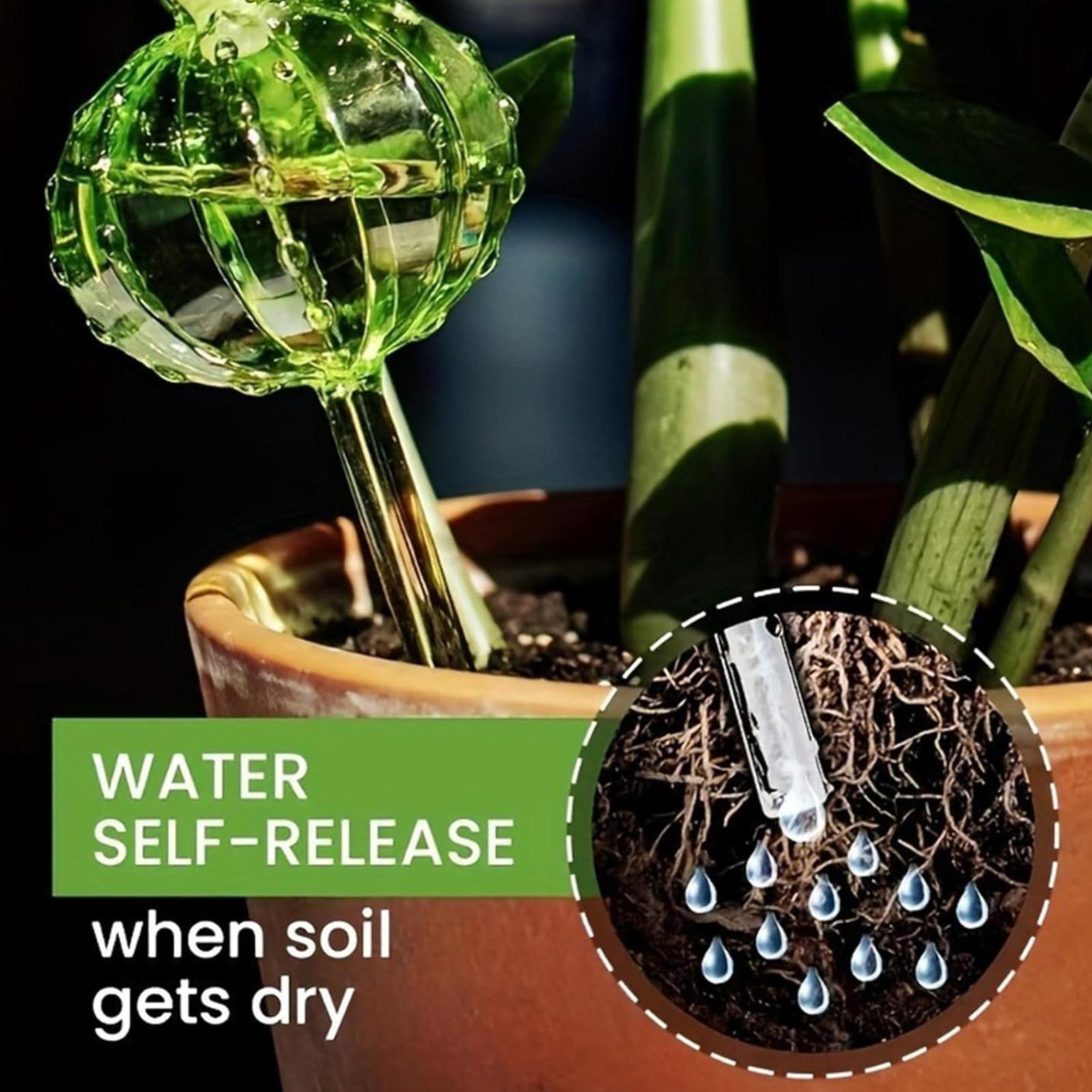 Plant Watering Stakes 3 Pieces - Self Watering Insert 리뷰 및 가격