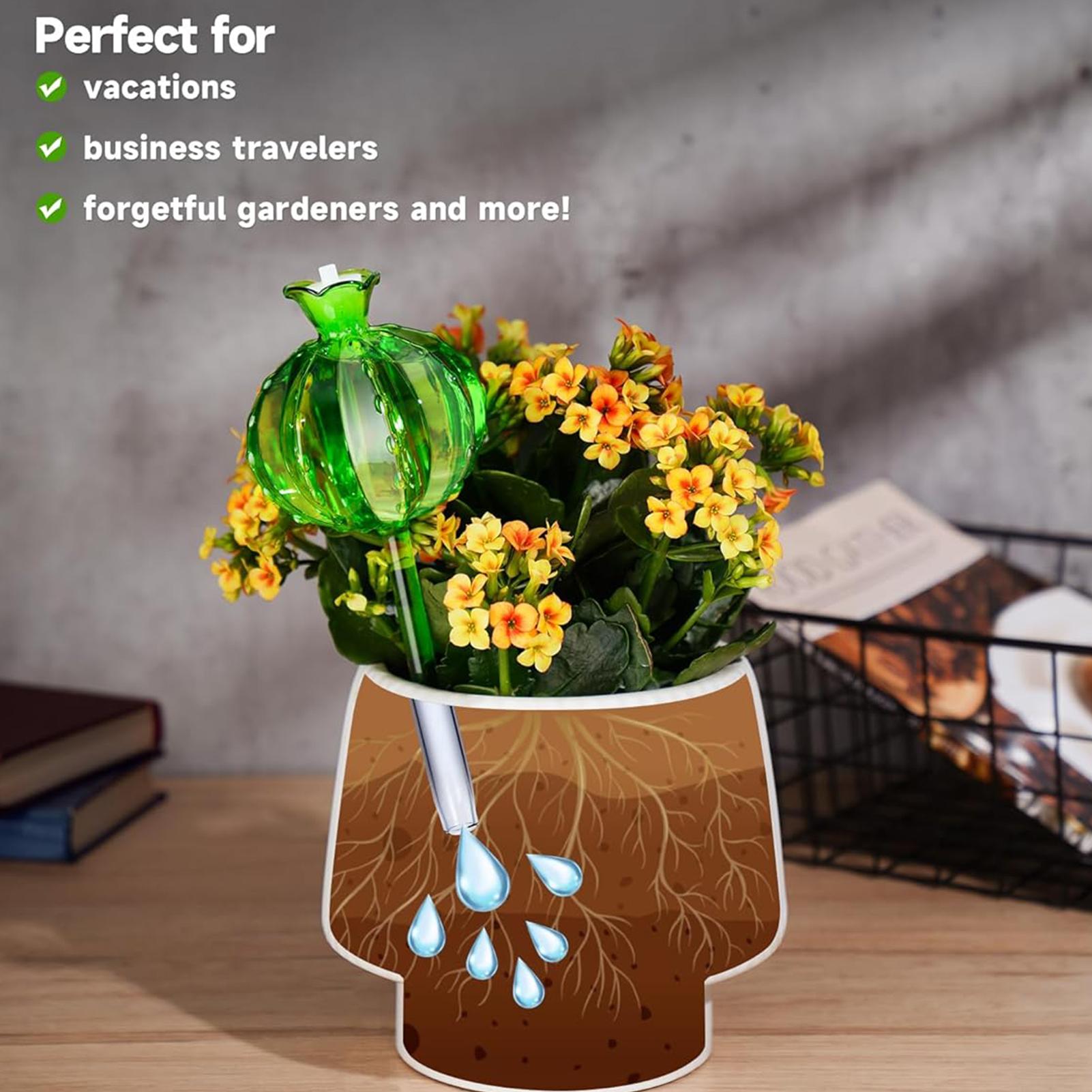 Plant Watering Stakes 3 Pieces - Self Watering Insert 리뷰 및 가격