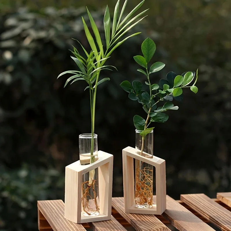 Test Tube Glass Vase Plant Pro - Propagation Station Vase 리뷰 및 가격