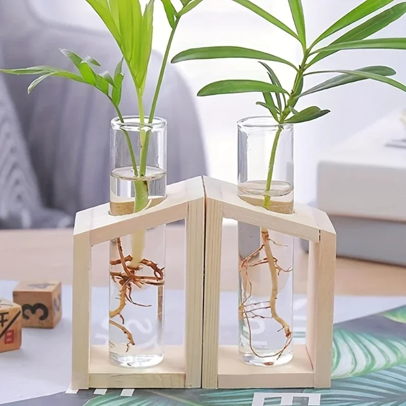 Test Tube Glass Vase Plant Pro - Propagation Station Vase 리뷰 및 가격