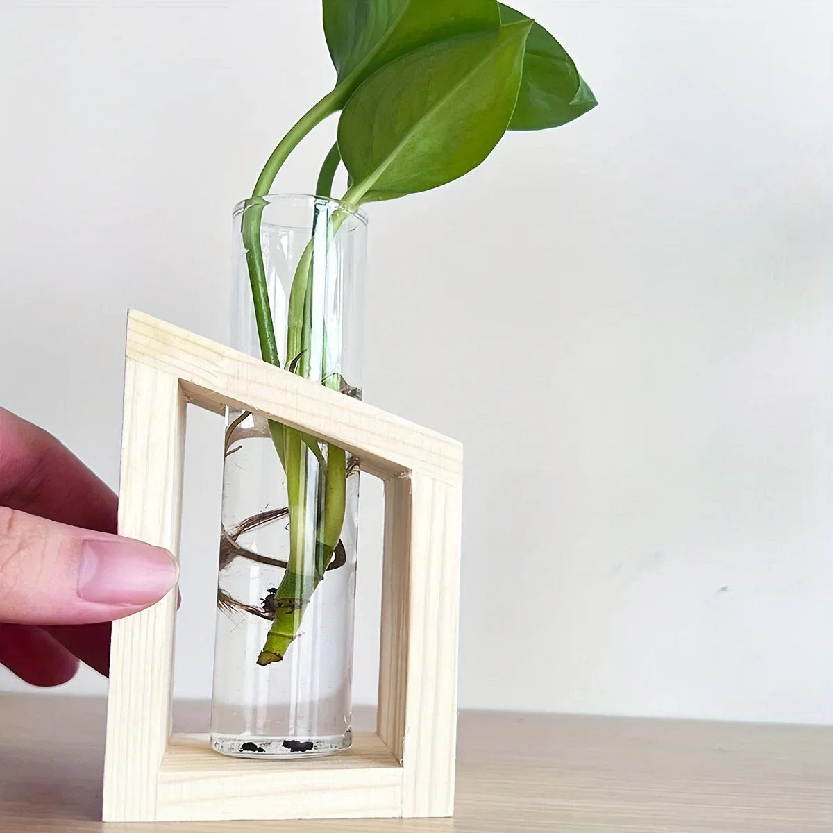 Test Tube Glass Vase Plant Pro - Propagation Station Vase 리뷰 및 가격