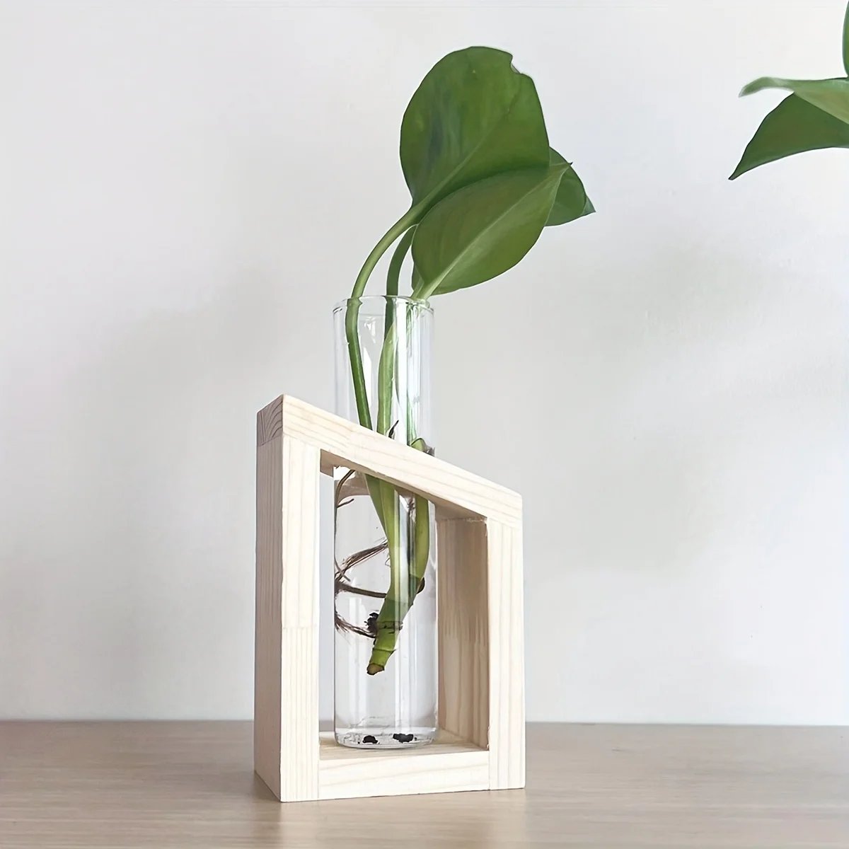 Test Tube Glass Vase Plant Pro - Propagation Station Vase 리뷰 및 가격