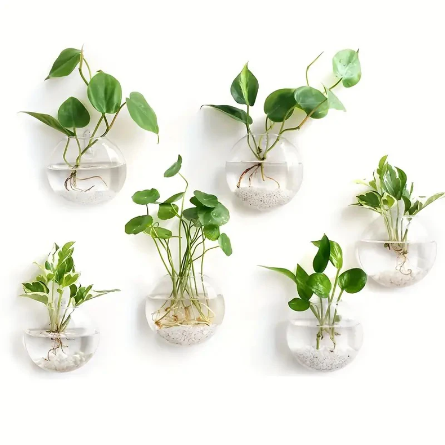 Wall Hanging Glass Plant Terra - Propagation Station Vase 리뷰 및 가격