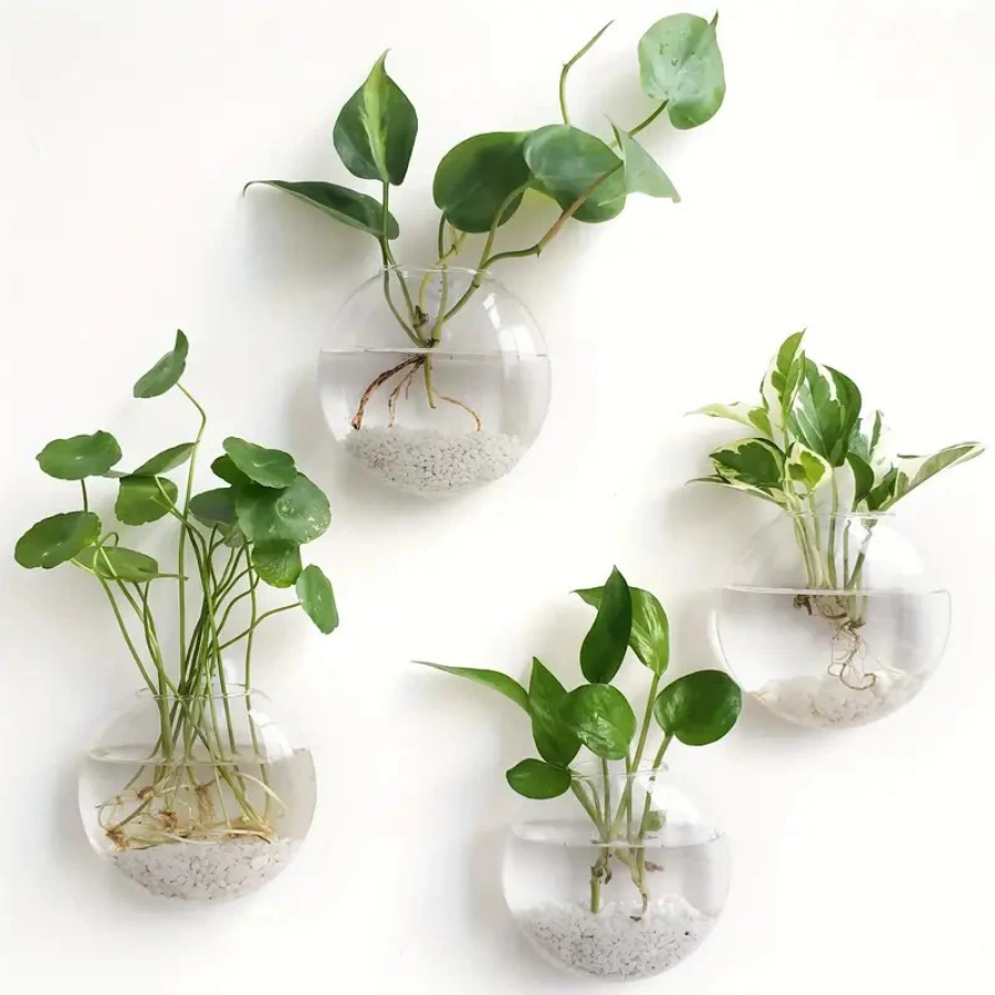 Wall Hanging Glass Plant Terra - Propagation Station Vase 리뷰 및 가격