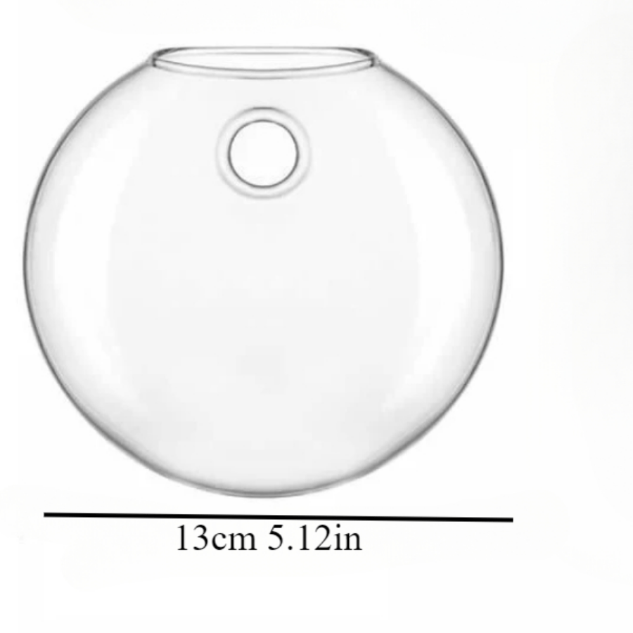 Wall Hanging Glass Plant Terra - Propagation Station Vase 리뷰 및 가격