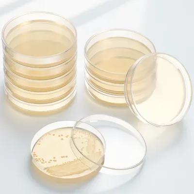 20Pcs Pre-Poured Agar Plates N - Agar Tissue Culture 리뷰 및 가격