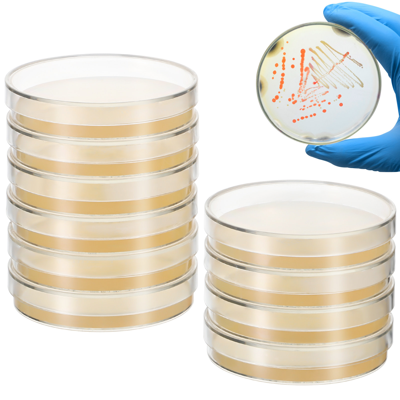 20Pcs Pre-Poured Agar Plates N - Agar Tissue Culture 리뷰 및 가격