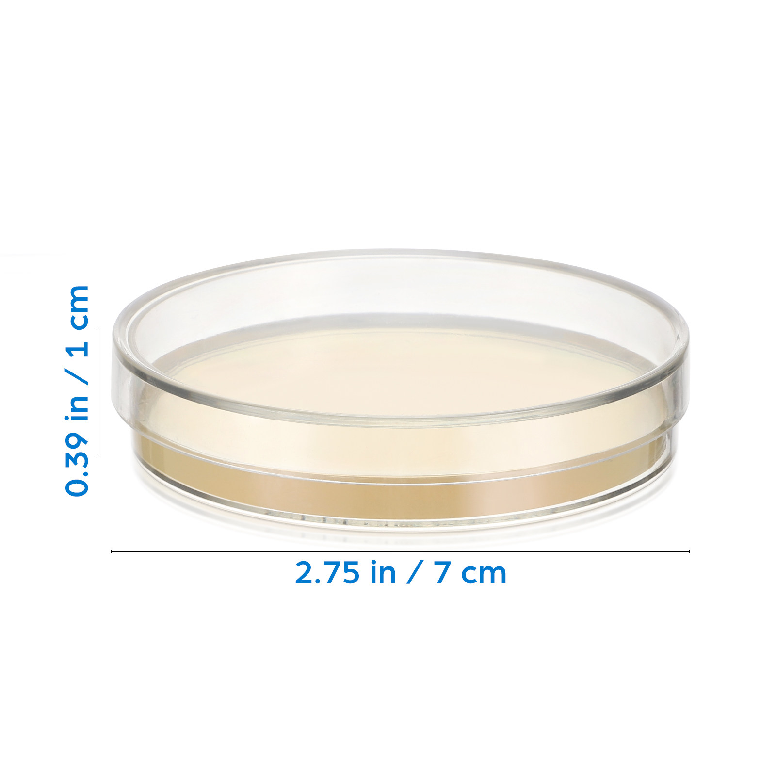 20Pcs Pre-Poured Agar Plates N - Agar Tissue Culture 리뷰 및 가격