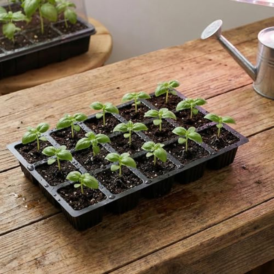 5-Set Seed Starter Tray Kits D - Humidity Dome Kit 리뷰 및 가격