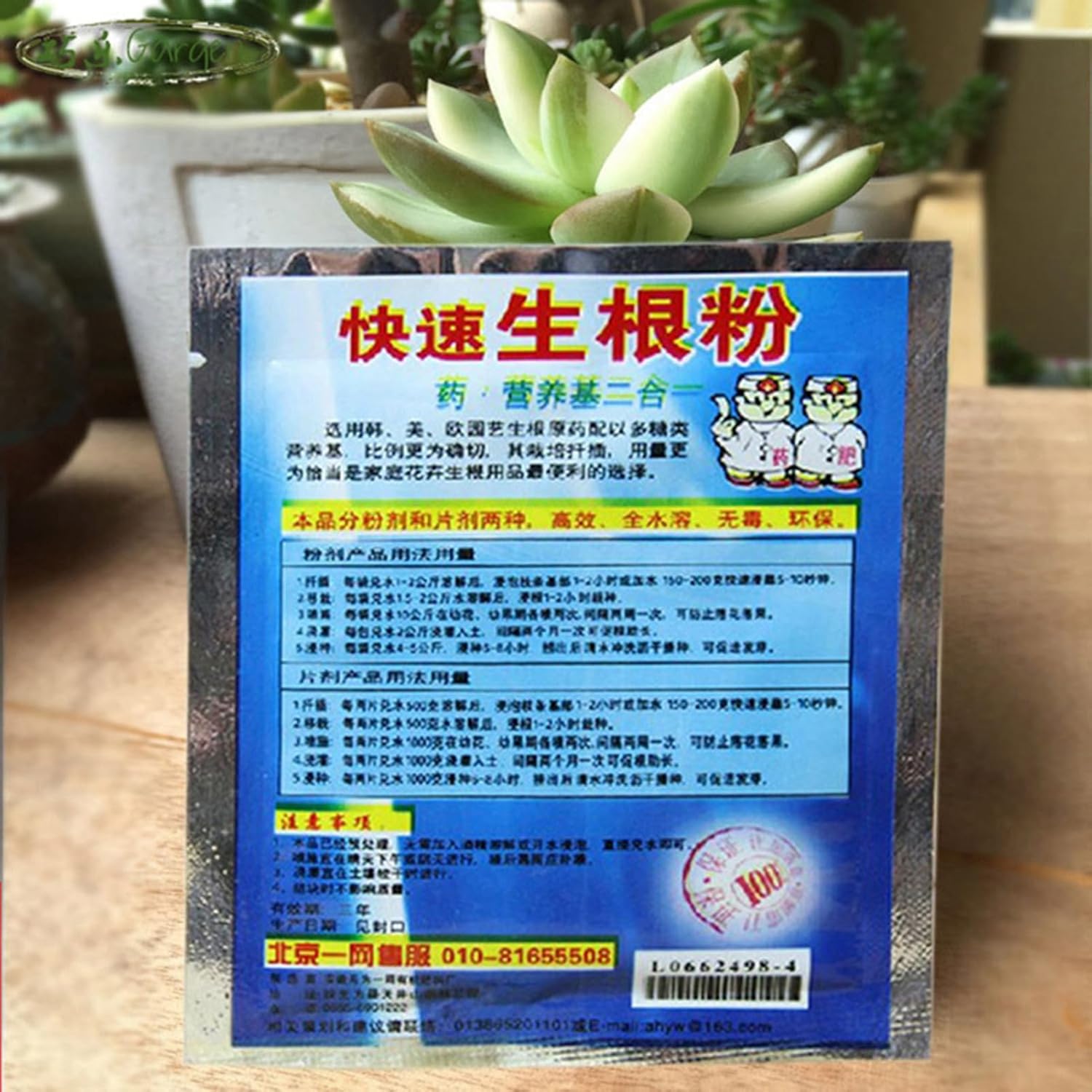 10 Bag 10g Rooting Powder for  - Rooting Hormone Powder 리뷰 및 가격