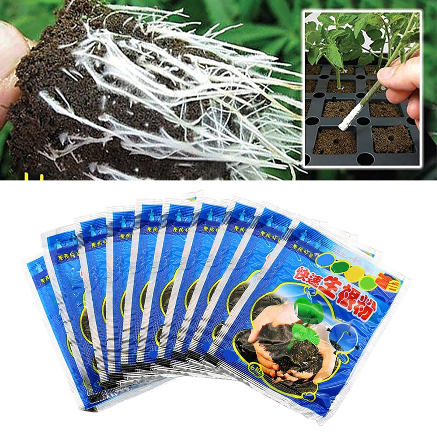 10 Bag 10g Rooting Powder for  - Rooting Hormone Powder 리뷰 및 가격
