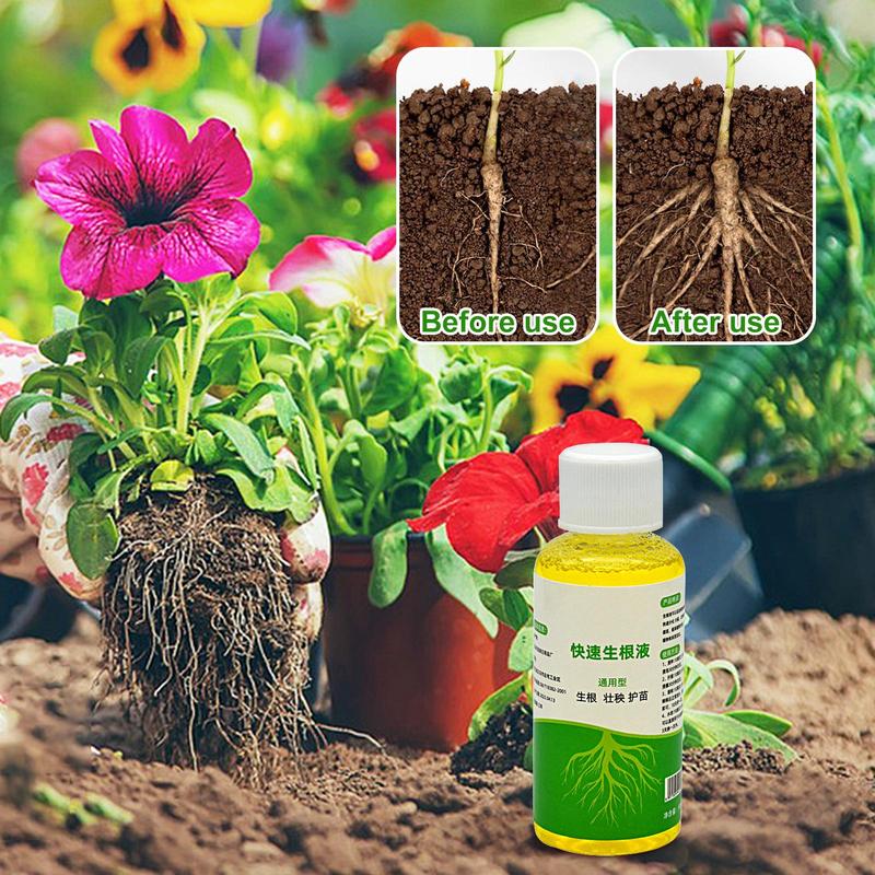 Root Booster for Plants Quick  - Root Stimulator Liquid 리뷰 및 가격