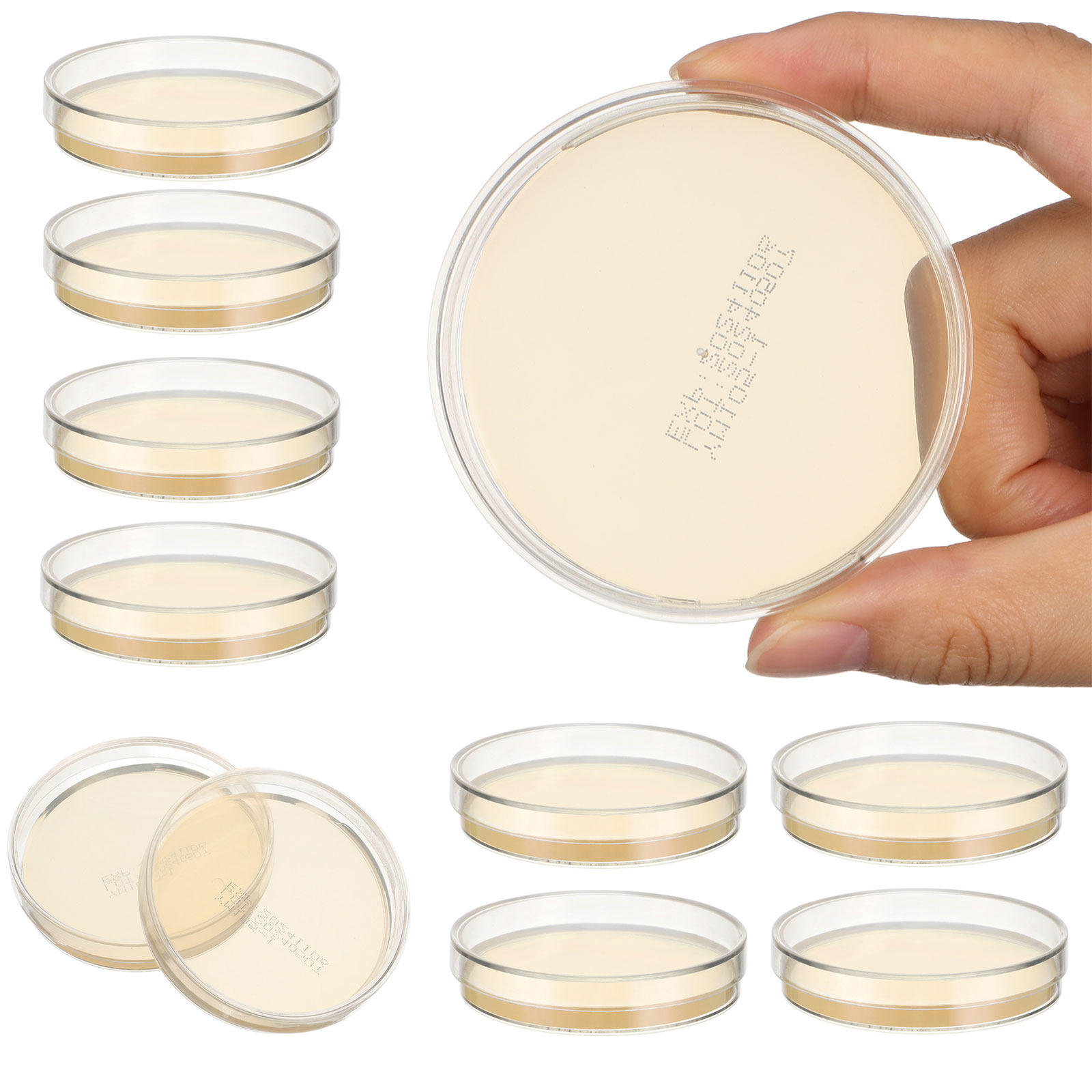 10pcs Prepoured Agar Plates Pe - Agar Tissue Culture 리뷰 및 가격